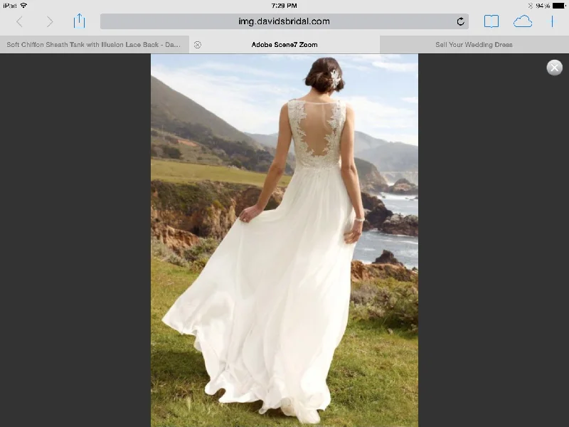 Instant Discount David's Bridal Soft chiffon sheath wg3429
