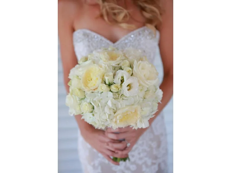 Online Only David Tutera
