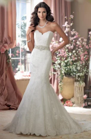 Today's Special David Tutera 114274/ MacClare