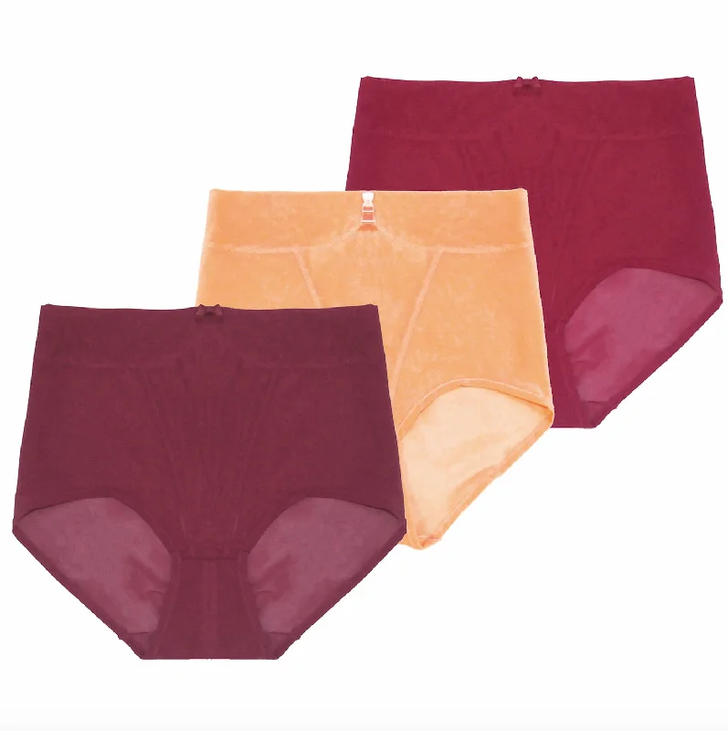 Price Cut Callie High Waisted Briefs